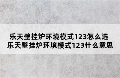 乐天壁挂炉环境模式123怎么选 乐天壁挂炉环境模式123什么意思